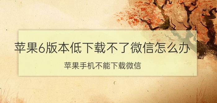 苹果6版本低下载不了微信怎么办 苹果手机不能下载微信，怎么解决？